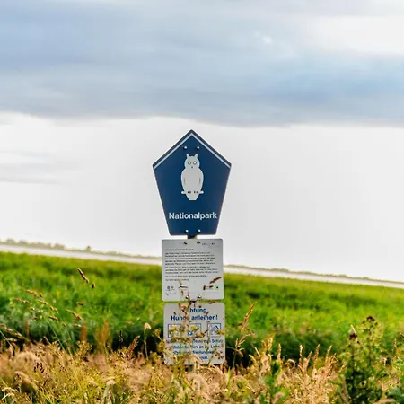 Haus Am Steg بيت للعطل *